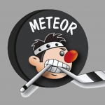 Meteor Marktredwitz e.V.